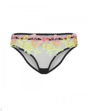 Agent Provocateur Callypso Women's Brief Multicolor | KMFVXYQ-48