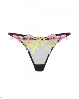 Agent Provocateur Callypso Women's Thong Multicolor | EKBMUOS-62