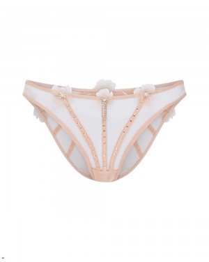 Agent Provocateur Evangelene Women's Brief Beige | WXKQUJF-71