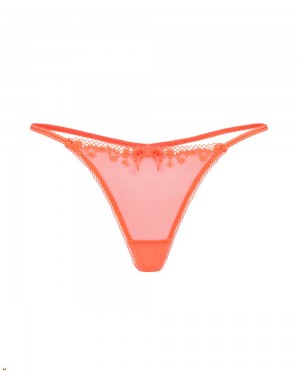 Agent Provocateur Florina Women's Thong Orange | XZJCSMD-84