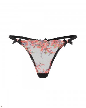 Agent Provocateur Lexx Women's Thong Orange | IZSMWLO-97