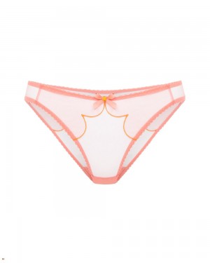 Agent Provocateur Lorna Women's Brief Coral | FEBGYRL-60