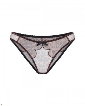 Agent Provocateur Lorna Women's Brief Leopard | DKGYIWA-75