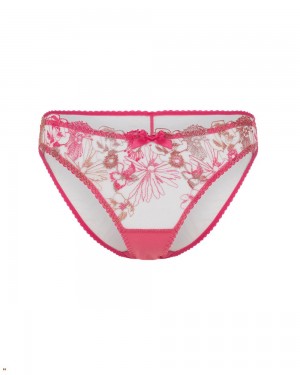 Agent Provocateur Zuri Women's Brief Pink | QUCDJHI-91