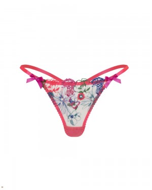 Agent Provocateur Zuri Women's Thong Multicolor | URAKIGN-64