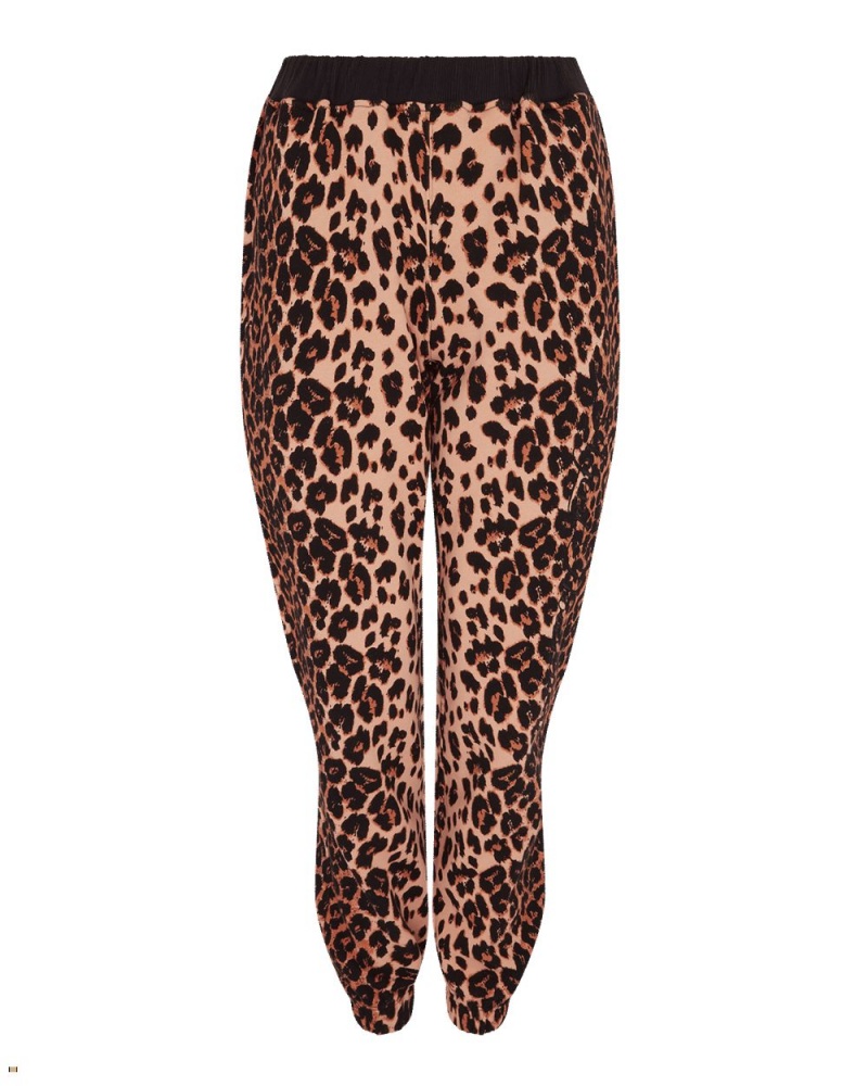 Agent Provocateur Rayley Women\'s Pants Leopard | BGEALTM-96