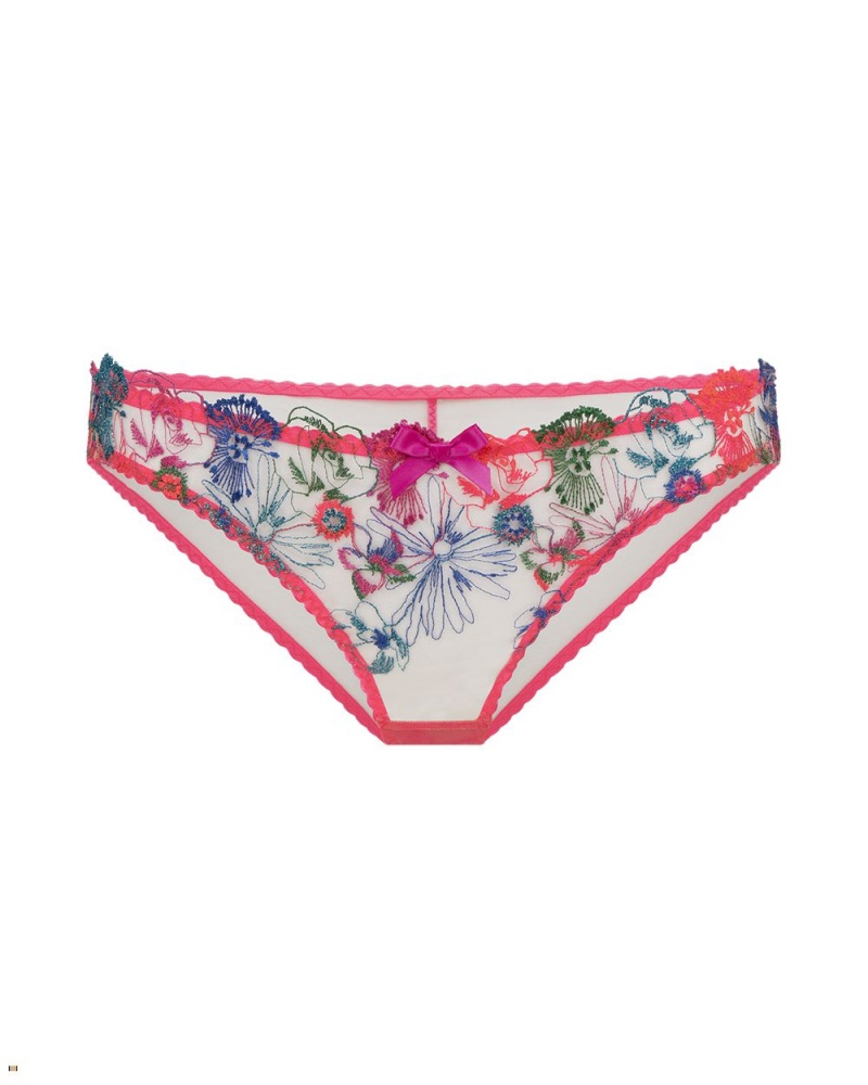 Agent Provocateur Zuri Women\'s Brief Multicolor | TAMNREY-41