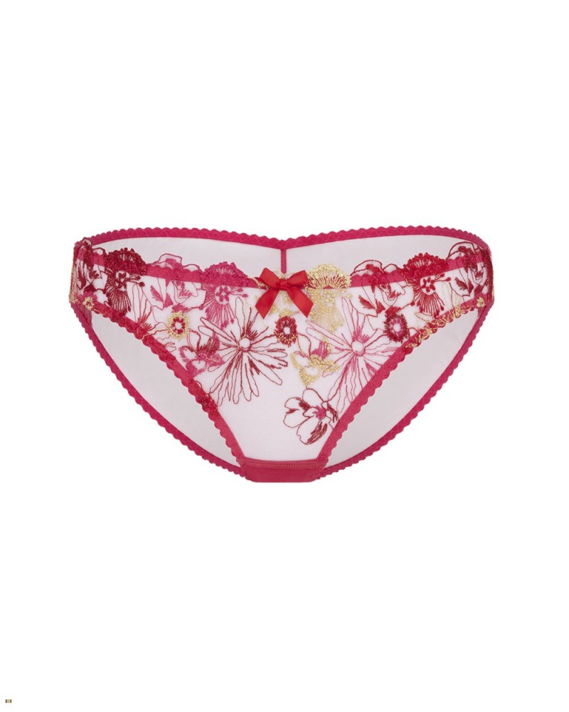 Agent Provocateur Zuri Women\'s Brief Multicolor | WLOHYVC-32